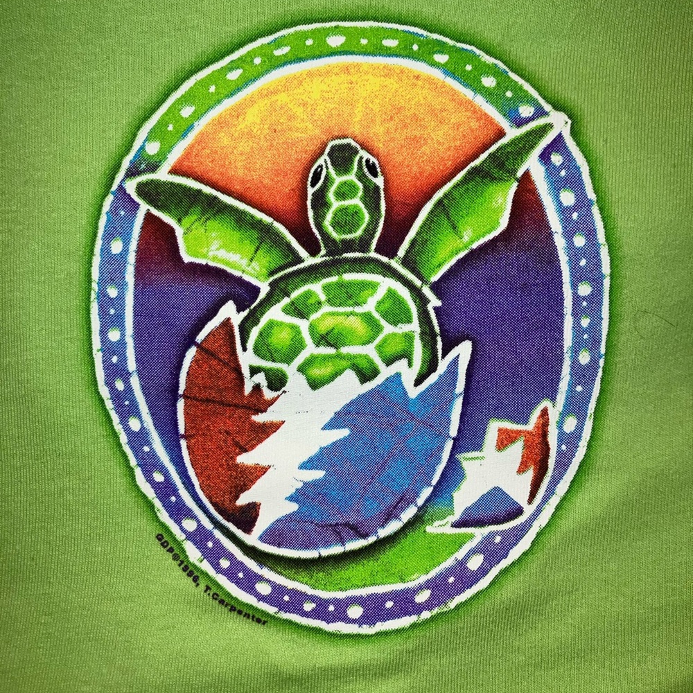 Steal Your Turtle Tee